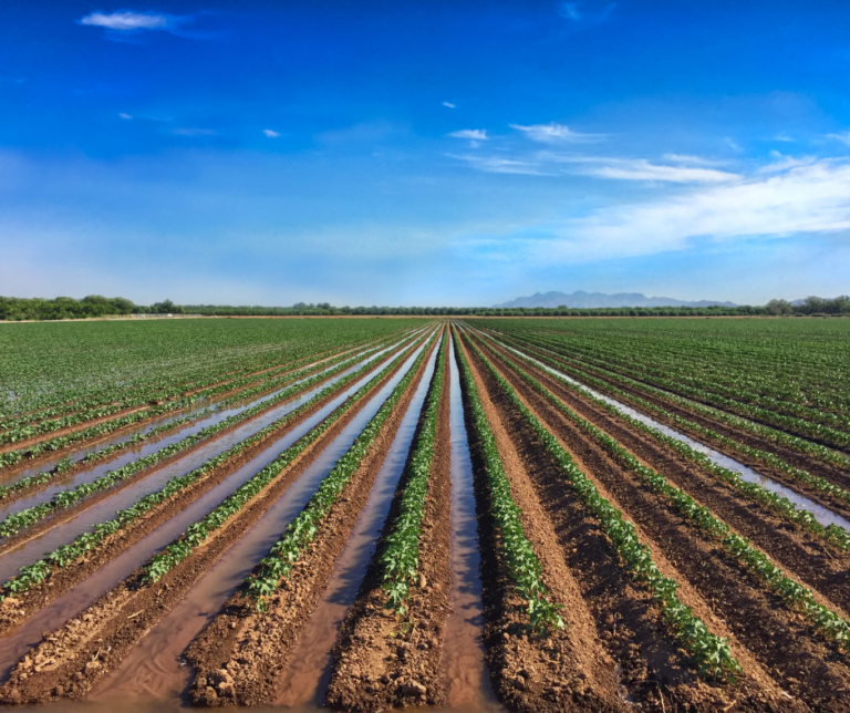 Register for the Ag Water Network Webinar – Colorado Master Irrigator Program